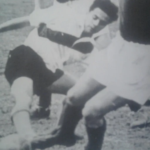 Aristóbulo Deambrossi