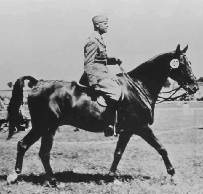 Gustaf Adolf Boltenstern (1904)