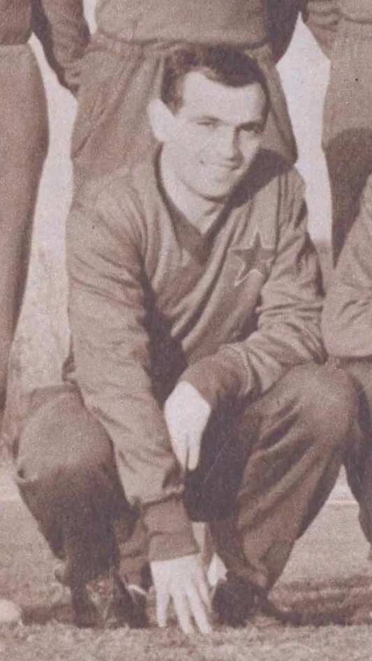 Sorin Avram