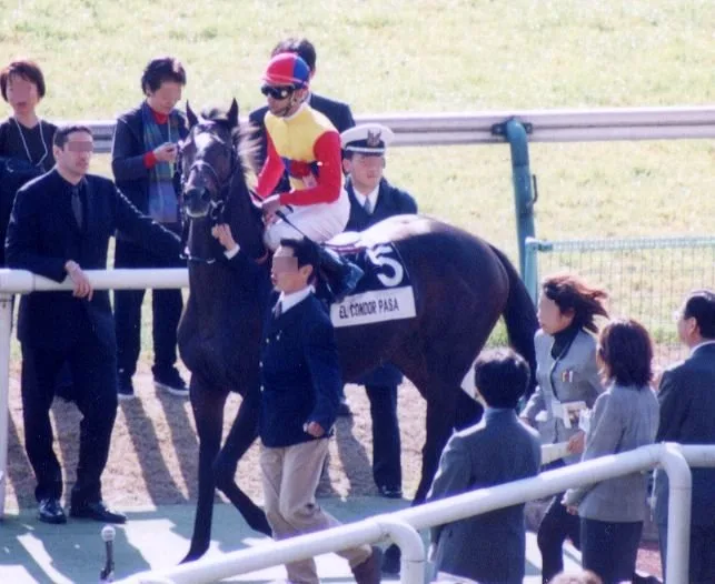 El Cóndor Pasa (caballo)