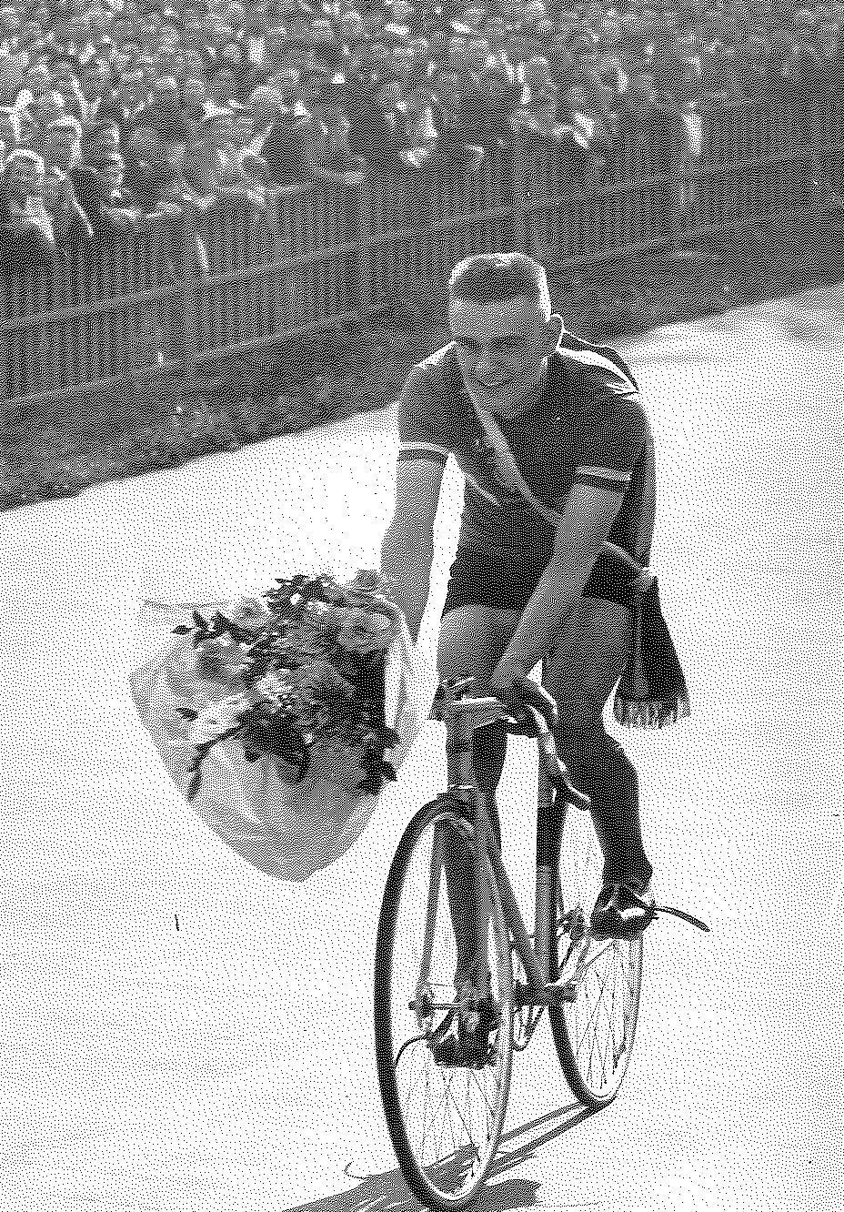 René Faye