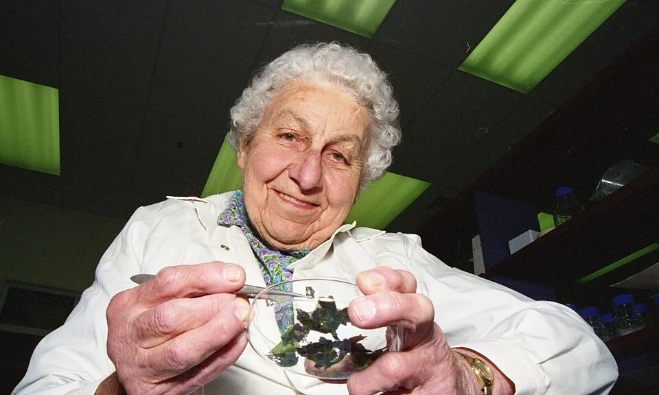 Ella Orr Campbell