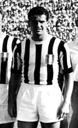Romolo Bizzotto