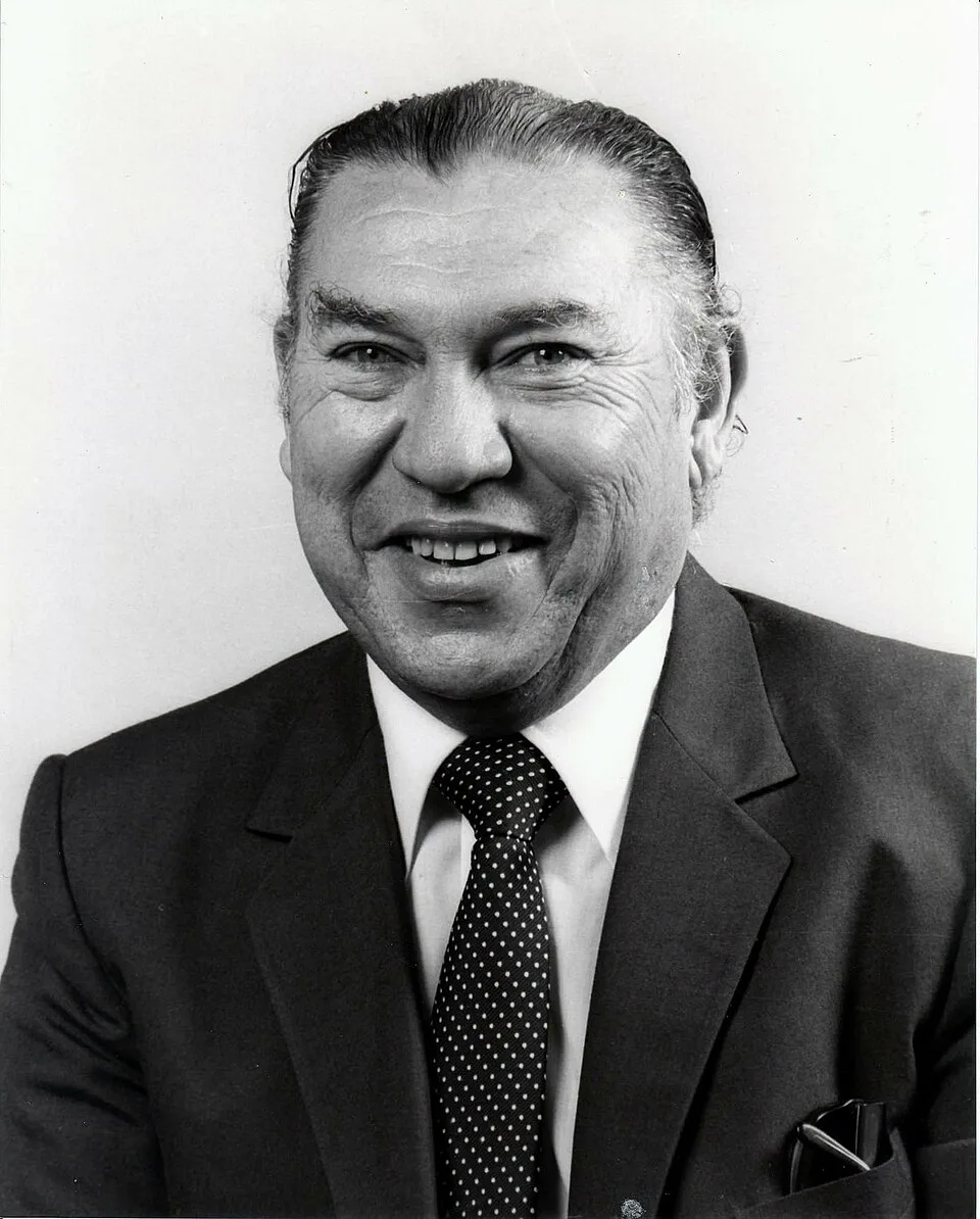 Miguel Bellorín Tineo