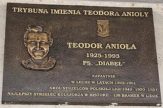 Teodor Anioła