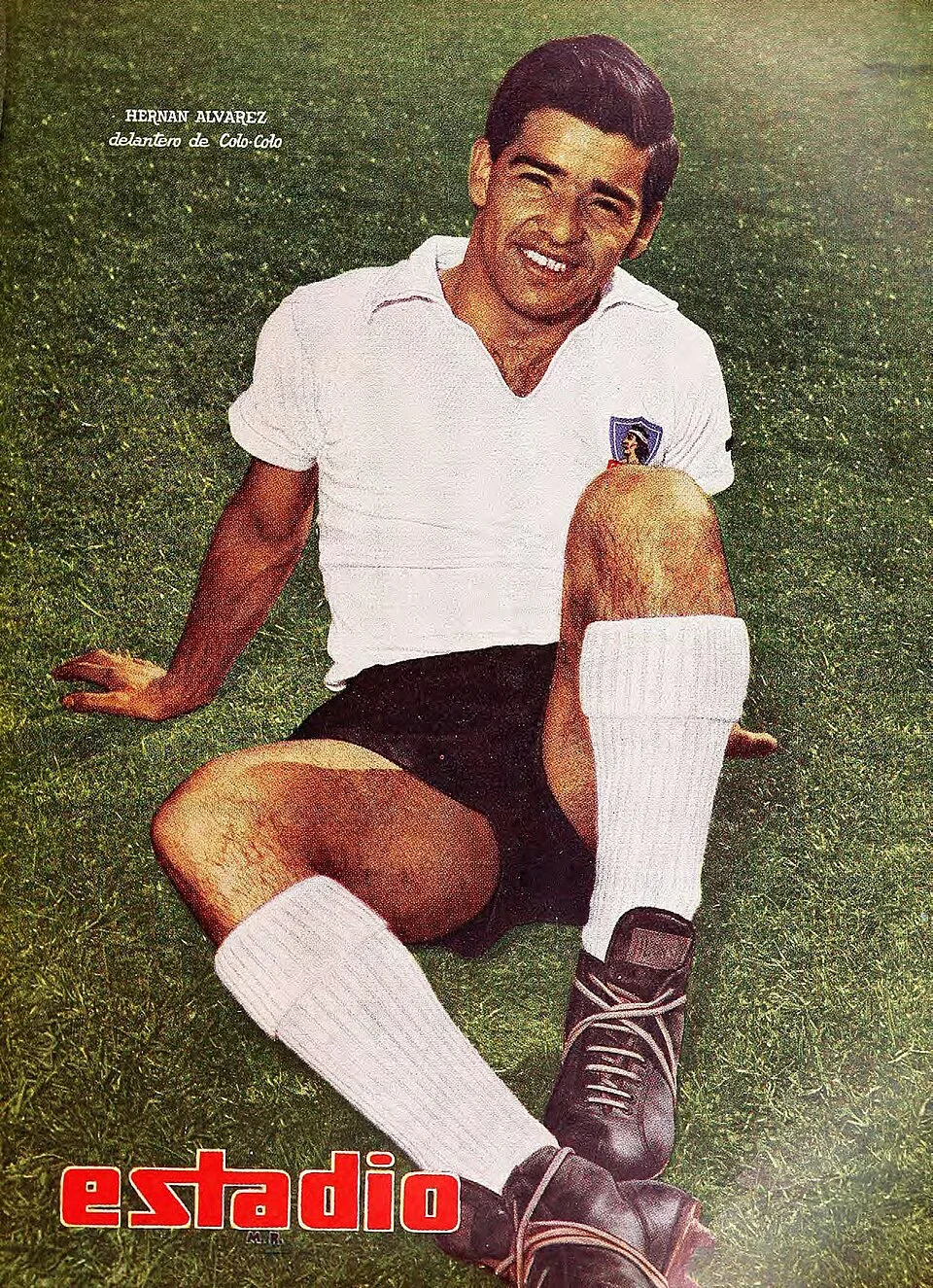 Luis Hernán Álvarez