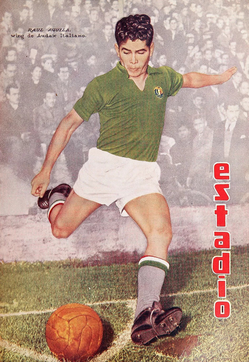Raúl Águila