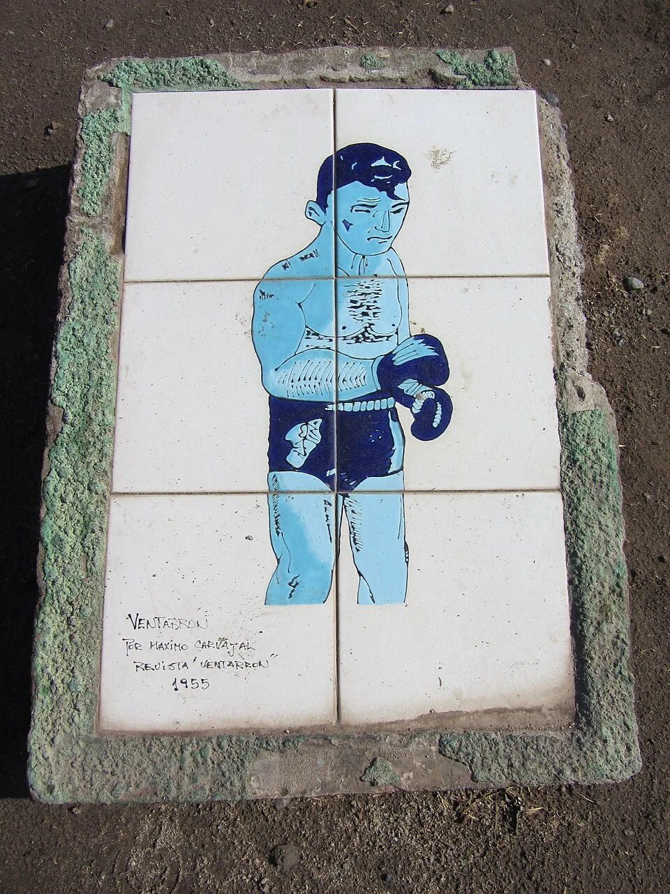 Máximo Carvajal