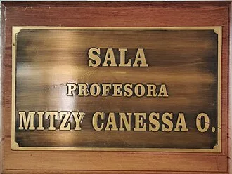 Mitzy Canessa