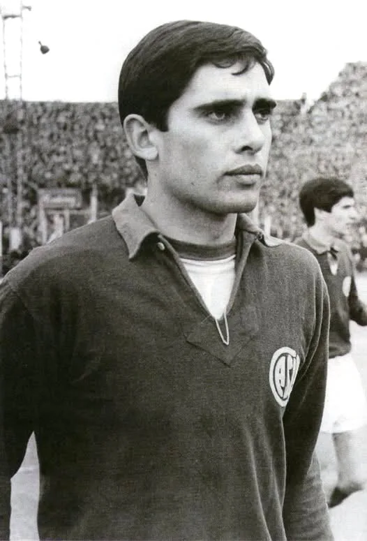 Fernando José Areán