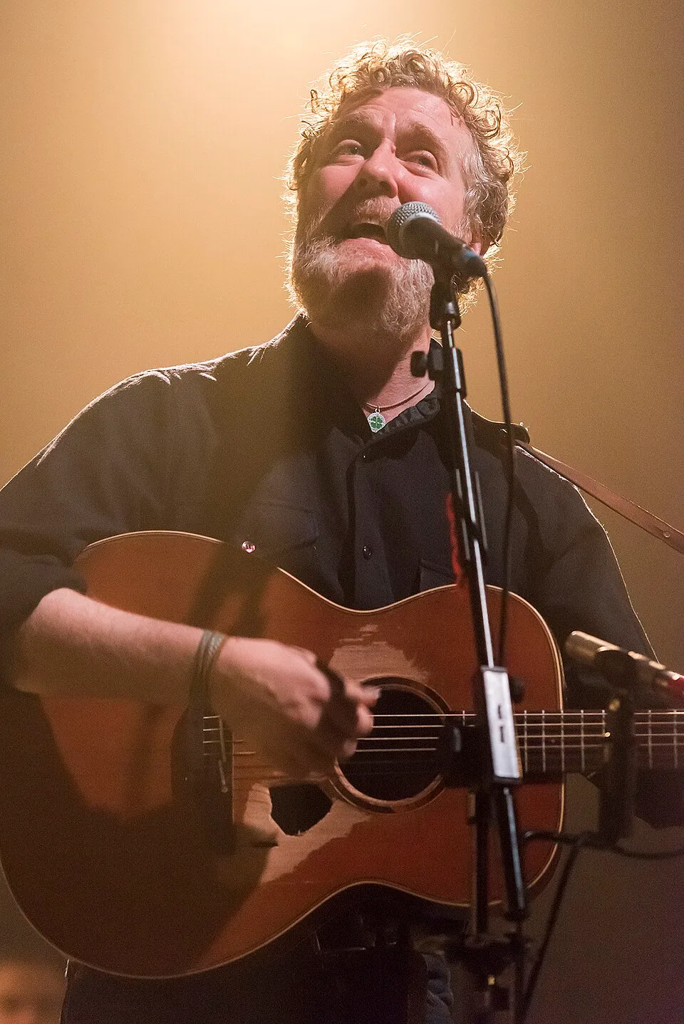 Glen Hansard
