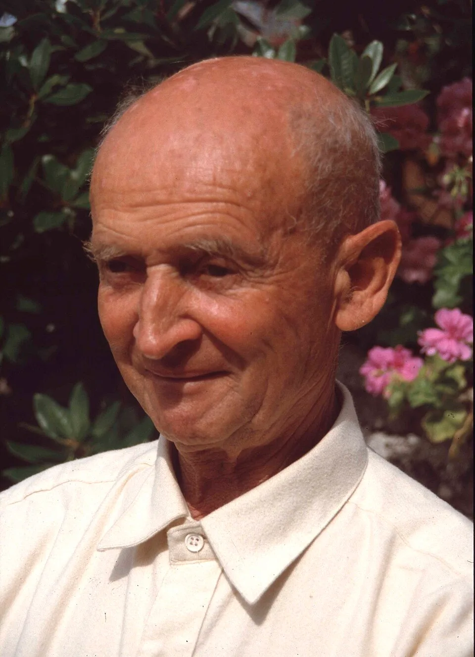 Wilhelm Cullmann