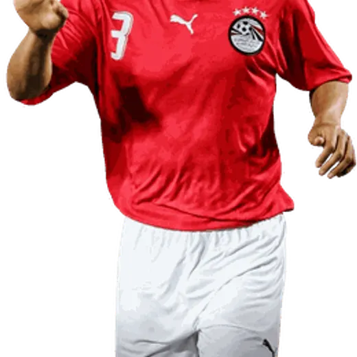 Mohamed Abdelwahab