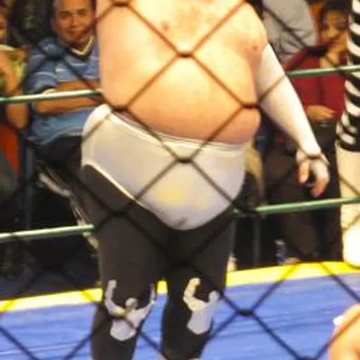 Brazo de Plata