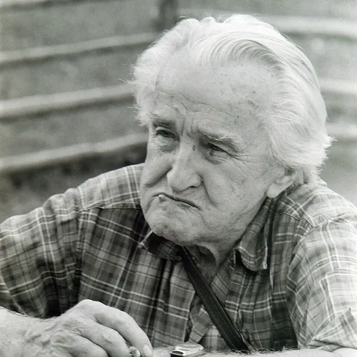 Josef Dostál (botánico)