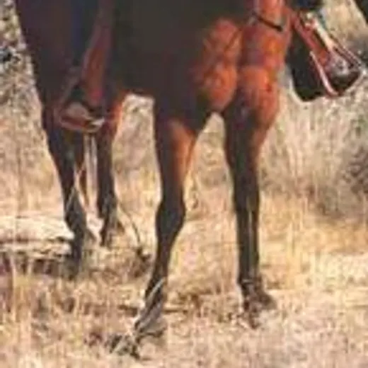 Salvatore Bonanno