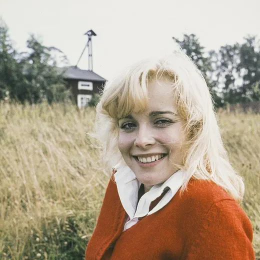 Armi Aavikko