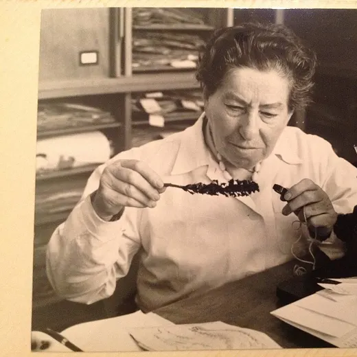 Naomi Feinbrun