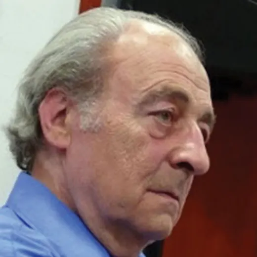 Mircea Braga