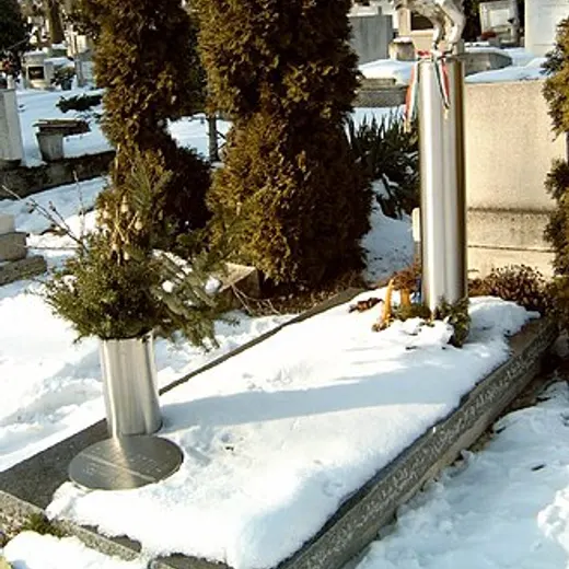 Attila Bozay