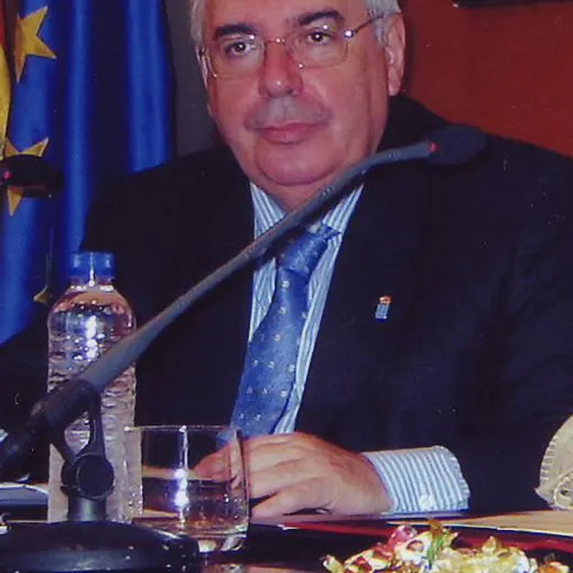 Vicente Álvarez Areces