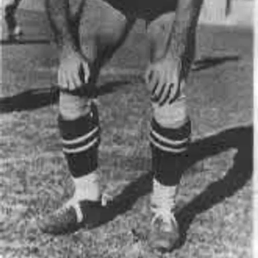 Carvalho Leite