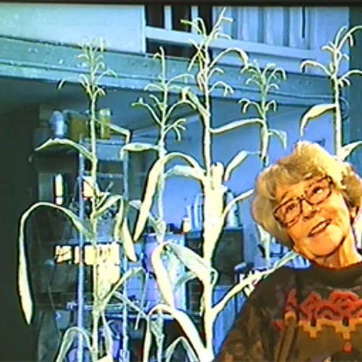 Martine Boileau
