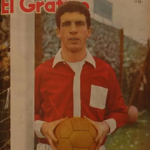 Roque Ditro