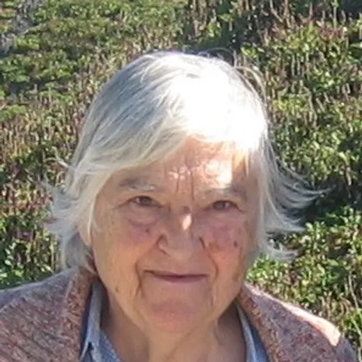 Etel Adnan