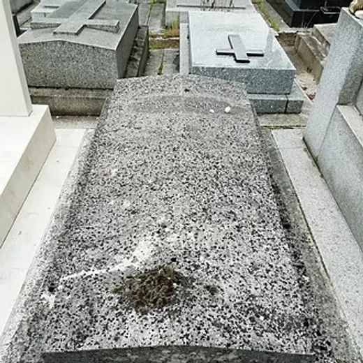 Daniel Arasse